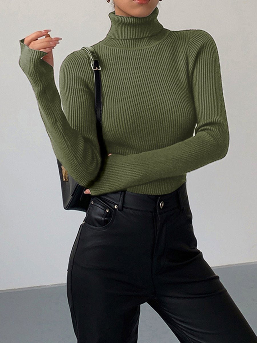 Fine-Ribbed High-Neck Spring Knit Pullover for Women