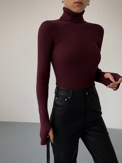 Fine-Ribbed High-Neck Spring Knit Pullover for Women