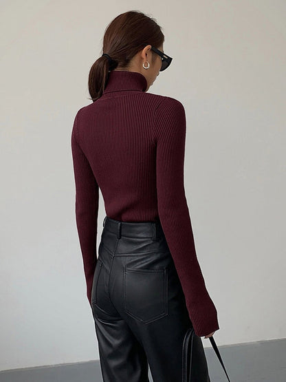 Fine-Ribbed High-Neck Spring Knit Pullover for Women