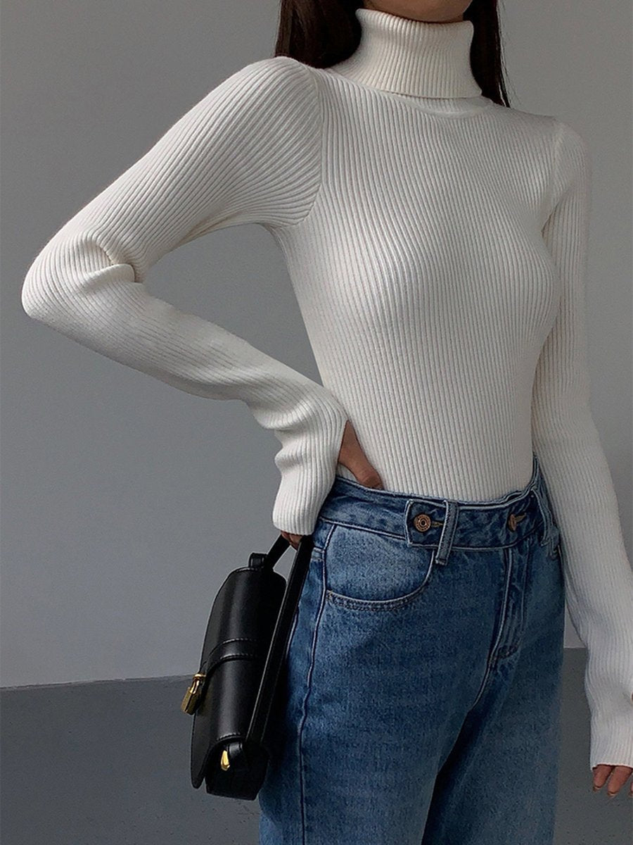 Fine-Ribbed High-Neck Spring Knit Pullover for Women